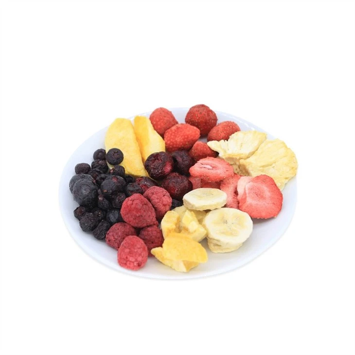 Freeze Dried Papaya Slice
