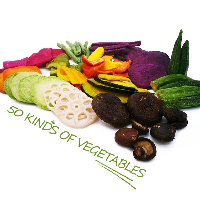 Vegetable Chips in Dehydrator